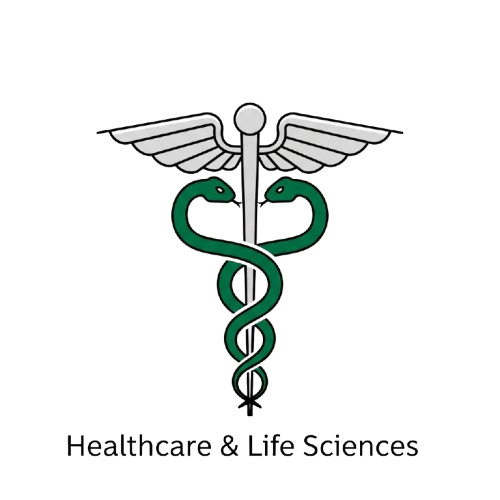 Healthcare & Life Sciences icon